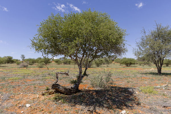 01.03. Unterwegs nach Bagatelle