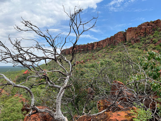 26.03. Waterberg Wilderness Plateau Lodge