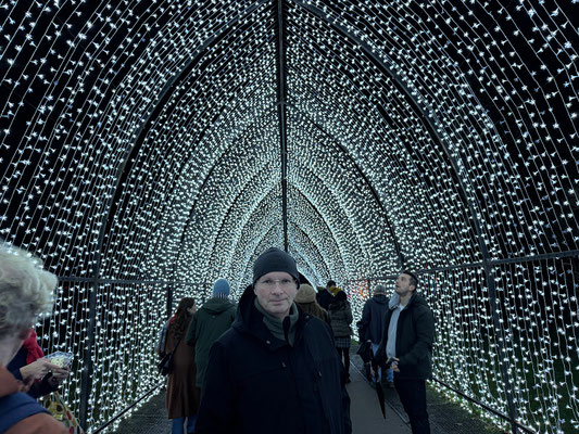 Christmas at Kew