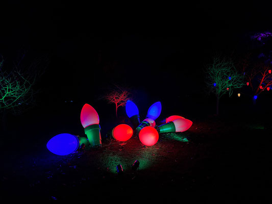 Christmas at Kew