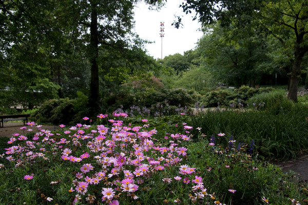 25.07. Planten un Blomen