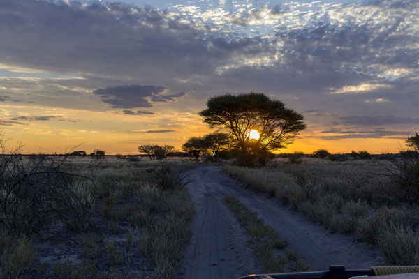 13.03. Evening Drive