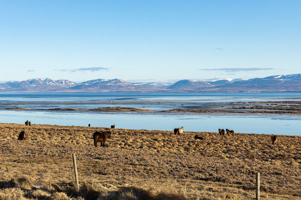 Vatnsnes Halbinsel 