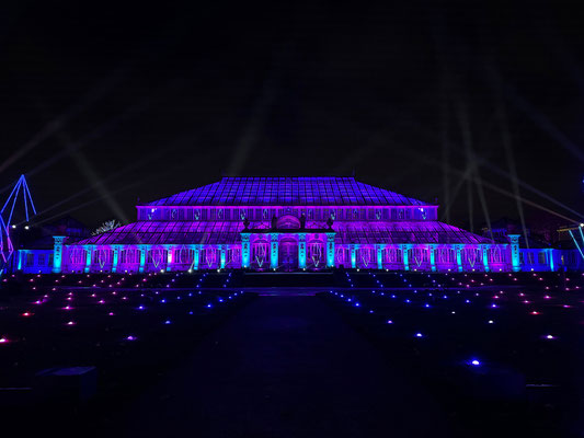 Christmas at Kew