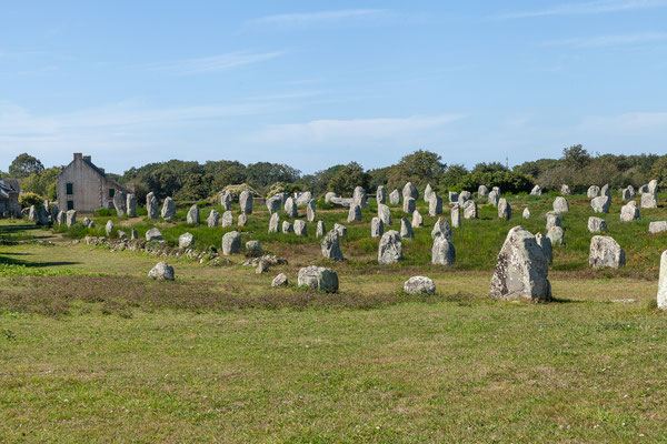 Natürlich fahren wir auch nach Carnac und spazieren die Steinreihen entlang. 
