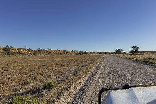 06.03. Heute fahren wir das Nossob Flussbett entlang nach Norden.