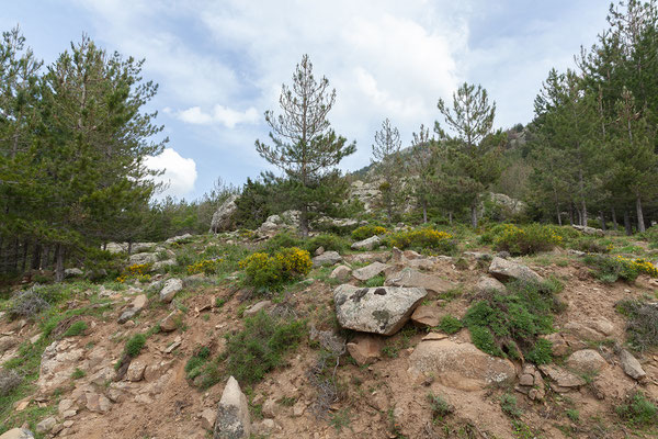 03.06. Schotterstrecke oberhalb des Calauccia Stausees