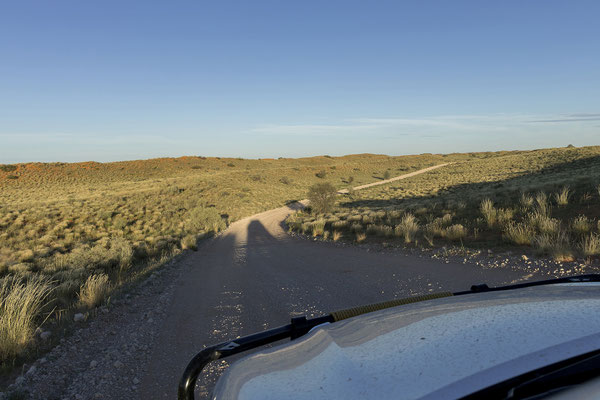 04.03. Evening Drive