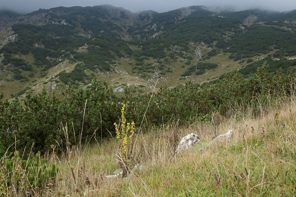 10.9. Durmitor Nationalpark