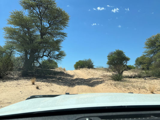 09.03. Nossob - Mabua