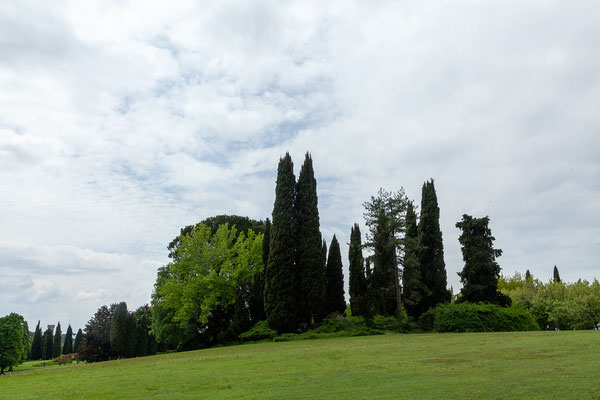 08.05. Giardino Sigurtà, Valeggio sul Mincio