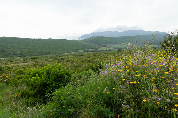 28.05. Cap Corse