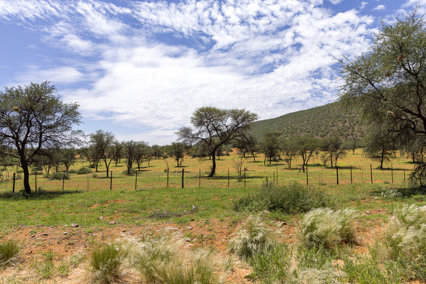 01.03. Unterwegs nach Bagatelle