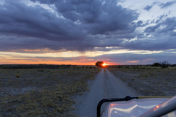 14.03. Um 6:20 starten wir zum Morning Drive