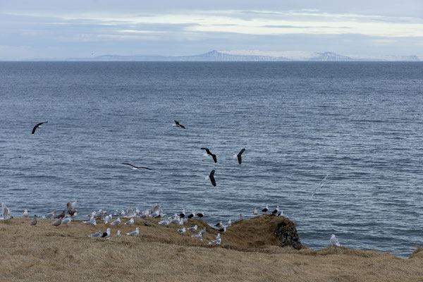 Snæfellsnes Halbinsel