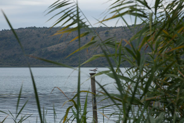 17.9. Šasko Jezero