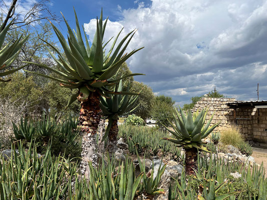 24.03. Hoba Meteorit