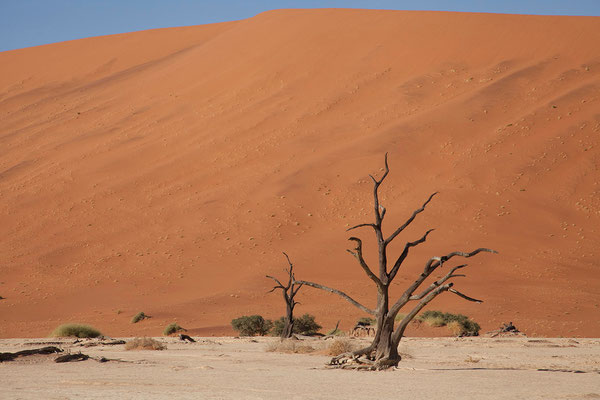 16.2. Dead Vlei