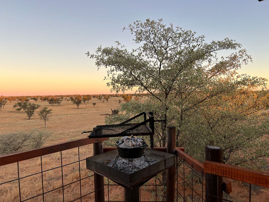 07.03. Heute gibt es Damper