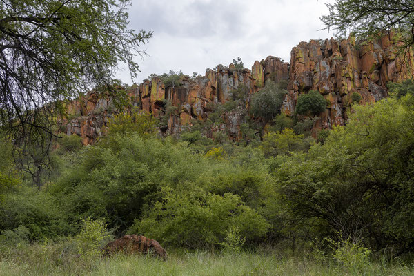 26.03. Der Waterberg ist ein Tafelberg, der eine Ausdehnung von 50 mal 15 km hat. Das Plateau liegt ca. 200m höher als die Umgebung.