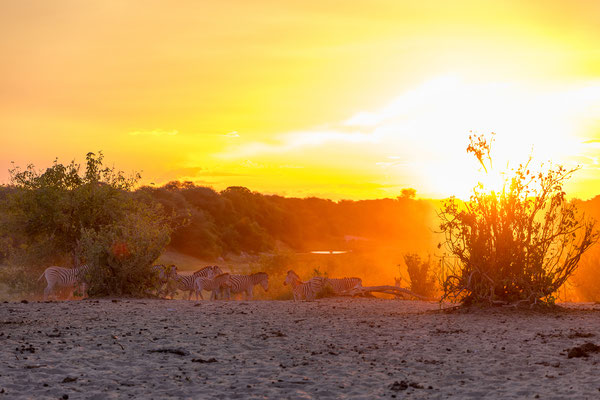 16.03. Makgadikgadi NP: die Sonnenuntergangsstimmung ist großartig!