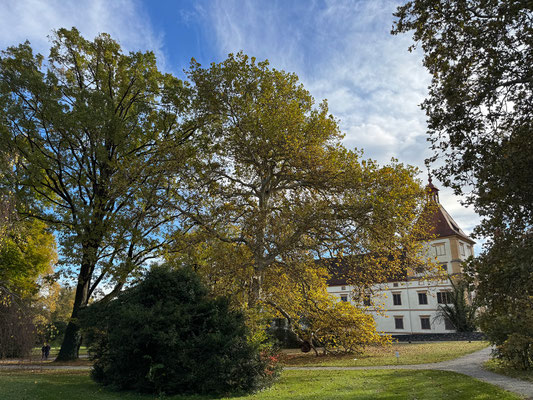 25.10. Schloß Eggenberg