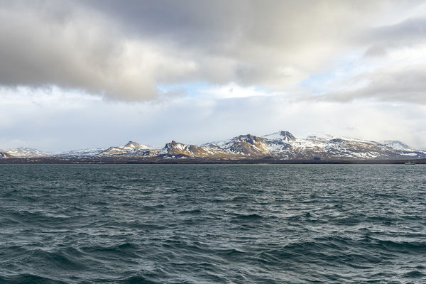 Wir sind glücklich und genießen die Rückfahrt nach Ólafsvík.