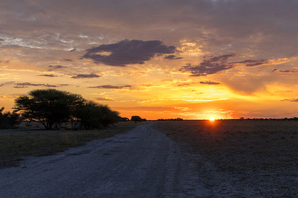 13.03. Evening Drive