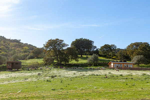 30.03. Agricampeggio Mattigiana, bei Bosa