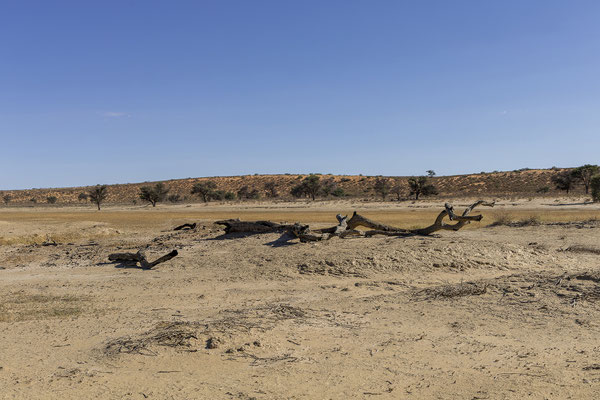 09.03. Wir haben bereits unterschiedliche Meinungen über die Strecke Nossob - Mabua gehört und sind gespannt, wie es uns gefällt.