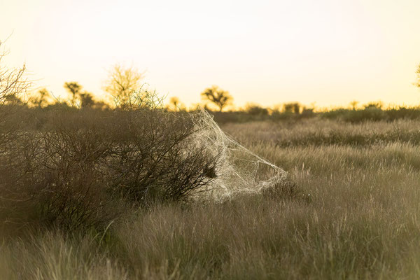 10.03. Evening Drive