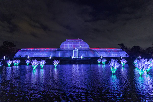 Christmas at Kew