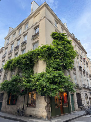 Nach einer Kofferpack - Pause am Zimmer spazieren wir noch einmal über die île de la Cité und die île Saint-Louis.  