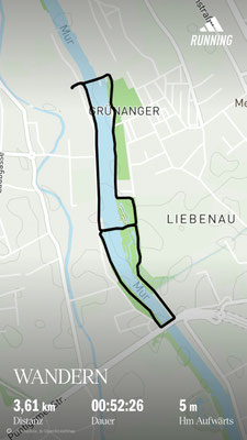09.11. Puchsteg entlang der Mur