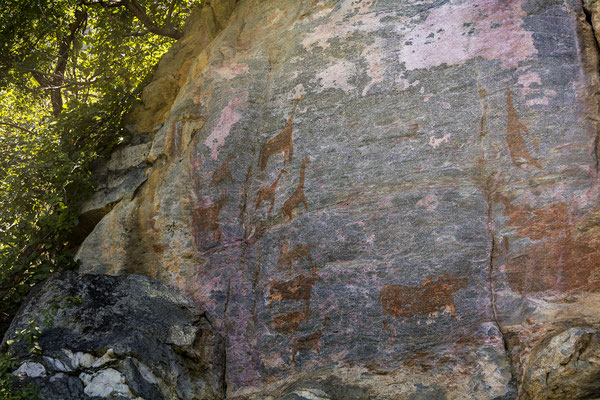 19.03. Archäologen schätzen, dass Tsodilo bereits seit 100.000 Jahren bewohnt ist und damit zu den ältesten historischen Stätten der Welt gehört.Heute leben hier das SAN Volk der Ju/'hoan(si), auch !Kung genannt, und die (Ha)Mbukushu.