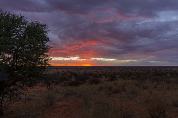 02.03. Red Dune Camp