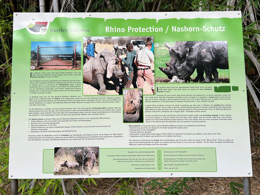 25.03. Waterberg Wilderness: Rhino Drive