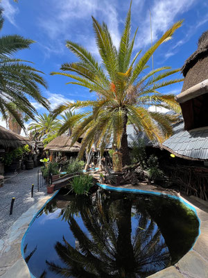 28.03. Joe's Beerhouse