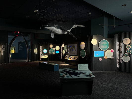11.05.  Palma Aquarium
