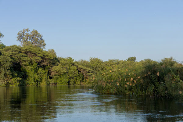 20.03. Morning Cruise