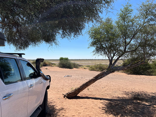 10.03. Die Letzte Nacht im Park (für diesen Urlaub) verbringen wir auf der Mpayathutlwa 01 Campsite (MPA 01). Auch hier haben wir einen tollen Ausblick!