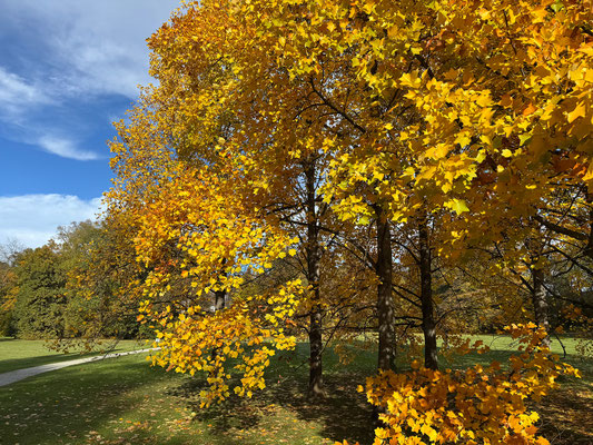 25.10. Schloß Eggenberg