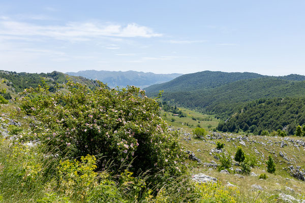 Unterwegs nach Mostar.