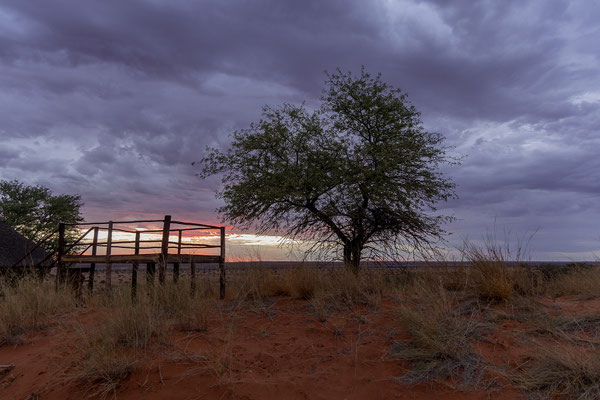 02.03. Red Dune Camp