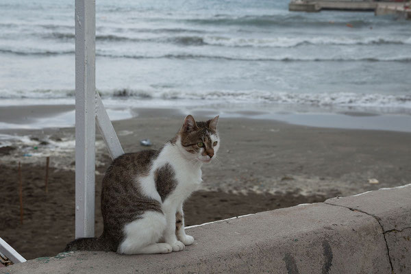 17.9. Ulcinj, an der Uferpromenade/Mala Plaža