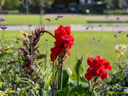 12.08. Vor der Oodi Bibliothek