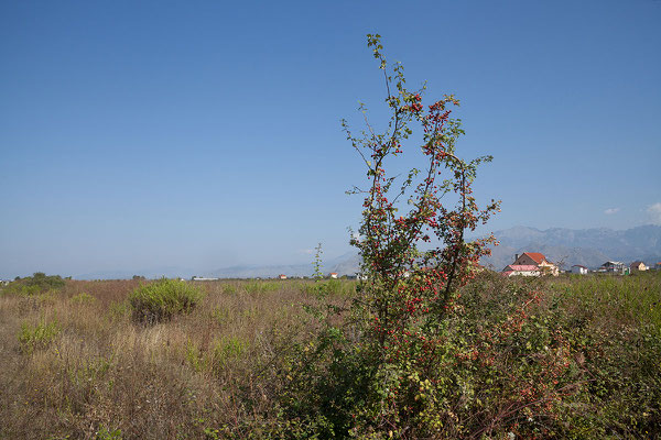 15.9. In der Nähe des Lake Shkodra Resort