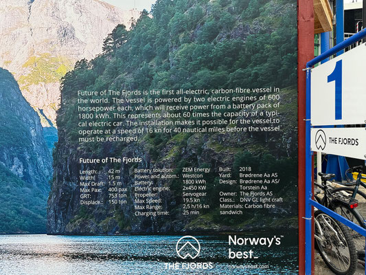Fjordkreuzfahrt durch den Nærøyfjord von Flåm nach Gundvangen 
