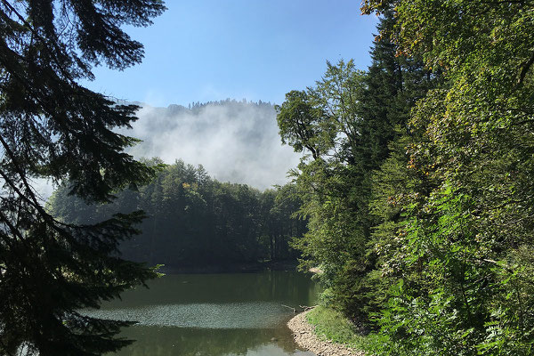 13.9. Nationalpark Biogradska Gora