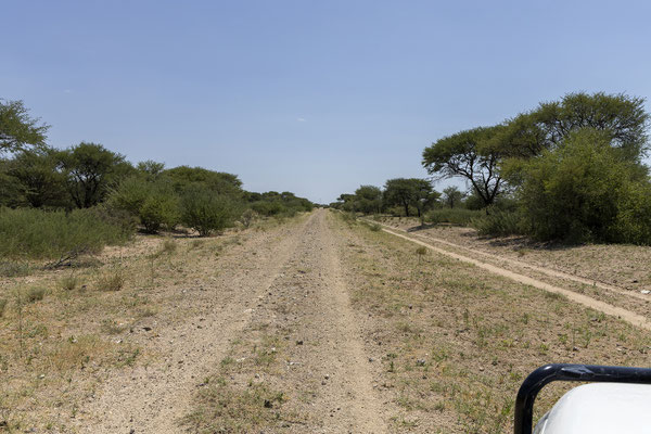12.03. Der erste Streckenteil führt uns den Trans Kalahari Highway entlang, dann nehmen wir verschiedene Gravelpads.